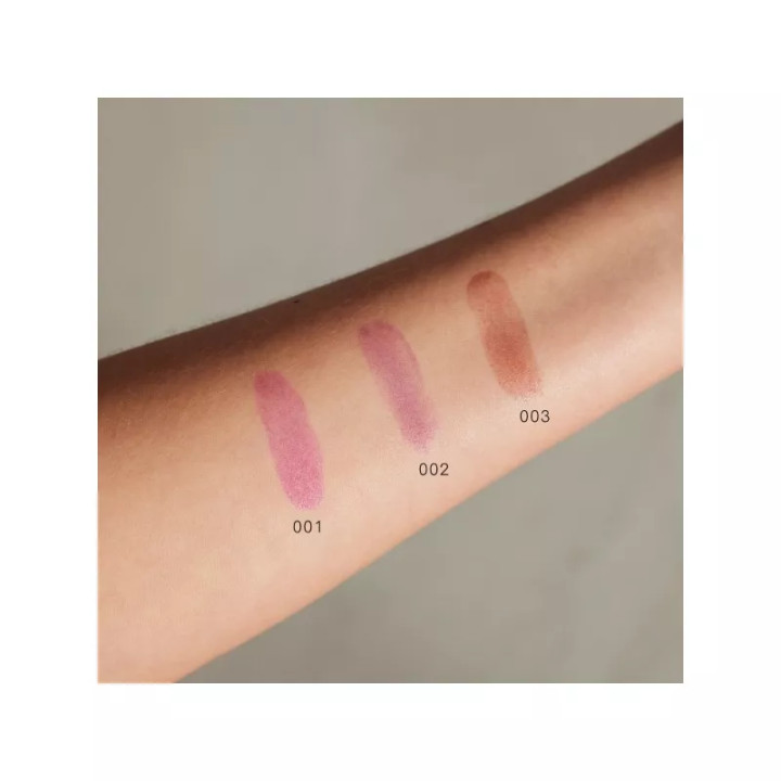 GOSH LIP STAIN - Acheter en ligne | Yousarssif Tunisie