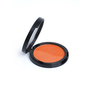 Blush POWDER DUO beige