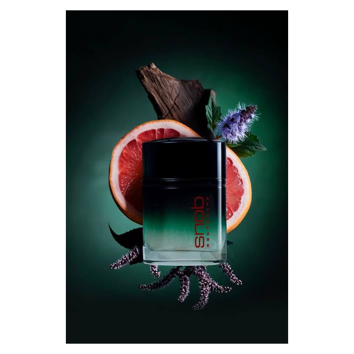 SNOB After Dark EDT Homme 100 ml – Eau de Toilette Masculine