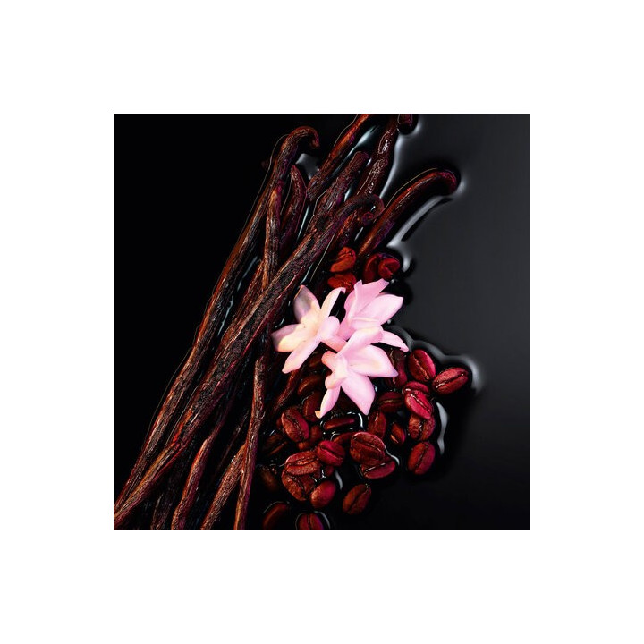 YSL Black Opium - Parfum pour Femmes | Vente en ligne en Tunisie