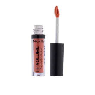 note LIPGLOSS " LE VOLUME PLUMP AND CARE "