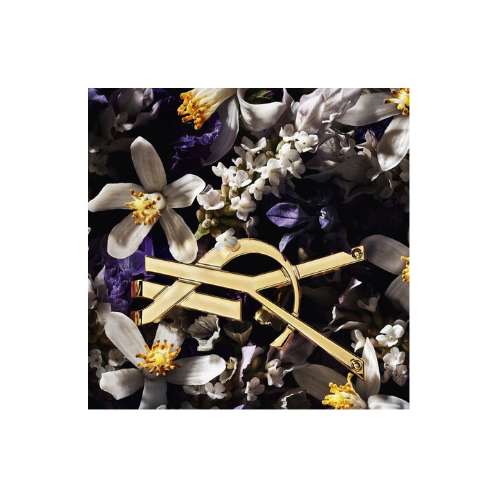 YSL EAU DE PARFUM LIBRE L'ABSOLU PLATINE- Acheter en ligne | Yousarssif Tunisie